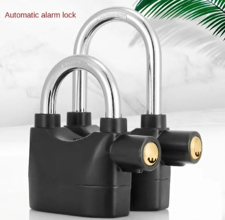 Alarm Lock
